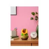 Nintendo Talking Flower, zberateľská figúrka, videohra