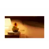 Nintendo Talking Flower, zberateľská figúrka, videohra