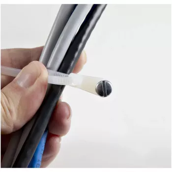 StarTech.com 4 inch (10 cm) viazacie pásky s upevňovacím otvorom - 1/16 inch (2 mm) široké, 7/8 inch (24 mm) priemer zväzku, 18 lb (8 kg) pevnosť v ťahu, nylon 66 samosvorné viazacie pásky so skrutkovým otvorom, UL certifikované, 100 ks balenie