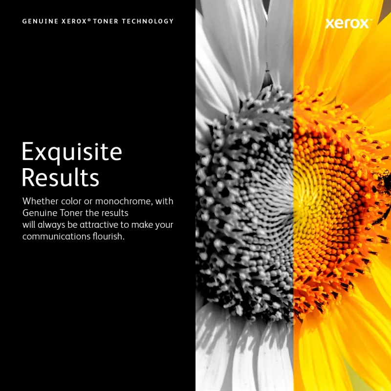 Xerox 106R02239 tonerová kazeta 1 ks originál žltá