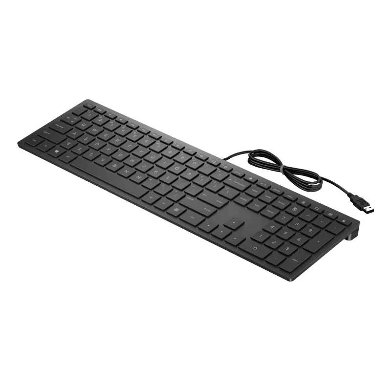 HP Pavilion káblová klávesnica 300, plná veľkosť (100%), káblová, USB, mechanická, čierna