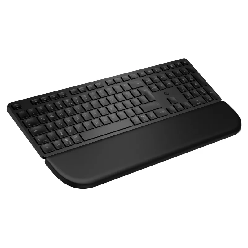 HP Multi-DevDual-ModeKBDwPlm EMEA-INTL E klávesnica čierna