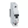 Legrand RX3 miniatúrny istič typ B 1