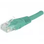 Hypertec 244710-HY sieťový kábel zelený 1 m Cat6 U/UTP (UTP)