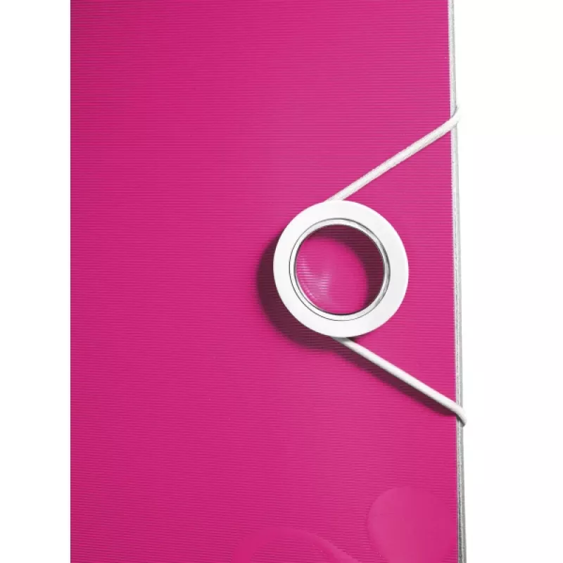 Leitz zakladač Active PP WOW A4/65 mm, A4, polyfoam, ružová, 350 listov, 80 g/m², 6,5 cm