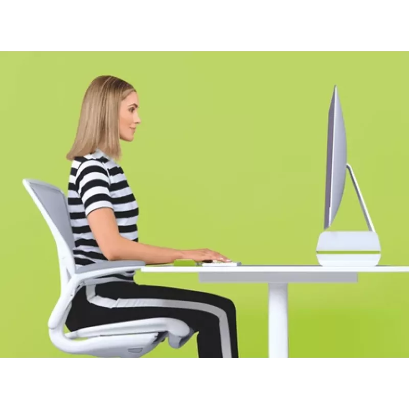 Leitz stojan na monitor nastaviteľný Ergo WOW, 68,6 cm (27 inch), nastavenie výšky, zelený, biely