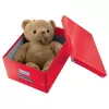 Leitz Box Click & Store WOW Cube Large úložná krabica, úložná krabica, červená, obdĺžniková, kartón, monochromatická, interiér