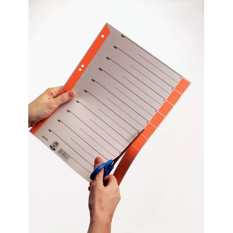 Leitz 16520025 tab registre numerické registre kartón sivá, červená