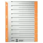 Leitz 16520045 tab index numerické tab registre kartón sivá, oranžová