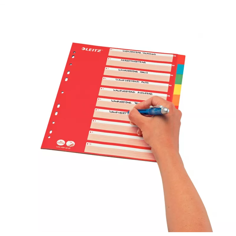Leitz 43876000 kartónový register