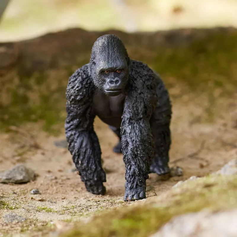 schleich WILD LIFE gorila, samec, 3 roky, džungľa, divé zvieratá/dobrodružná hračka, viacfarebné, plast