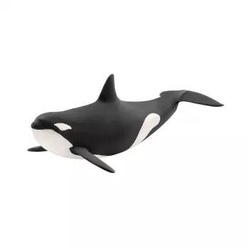 schleich WILD LIFE kosatka, 3 roky, ľad a oceán, divé zvieratá / dobrodružná hračka, viacfarebné, plast, 1 ks