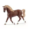 schleich HORSE CLUB umývacia plocha s Emily & Luna, zviera, konská stajňa, kone, 5 rokov, viacfarebné, plast