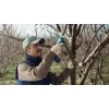 Bosch Pro Pruner Professional akumulátorové nožnice na trávu 2,5 cm 12 V lítium-iónová (Li-Ion) čierna, modrá