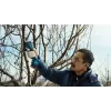 Bosch Pro Pruner Professional akumulátorové nožnice na trávu 2,5 cm 12 V lítium-iónová (Li-Ion) čierna, modrá