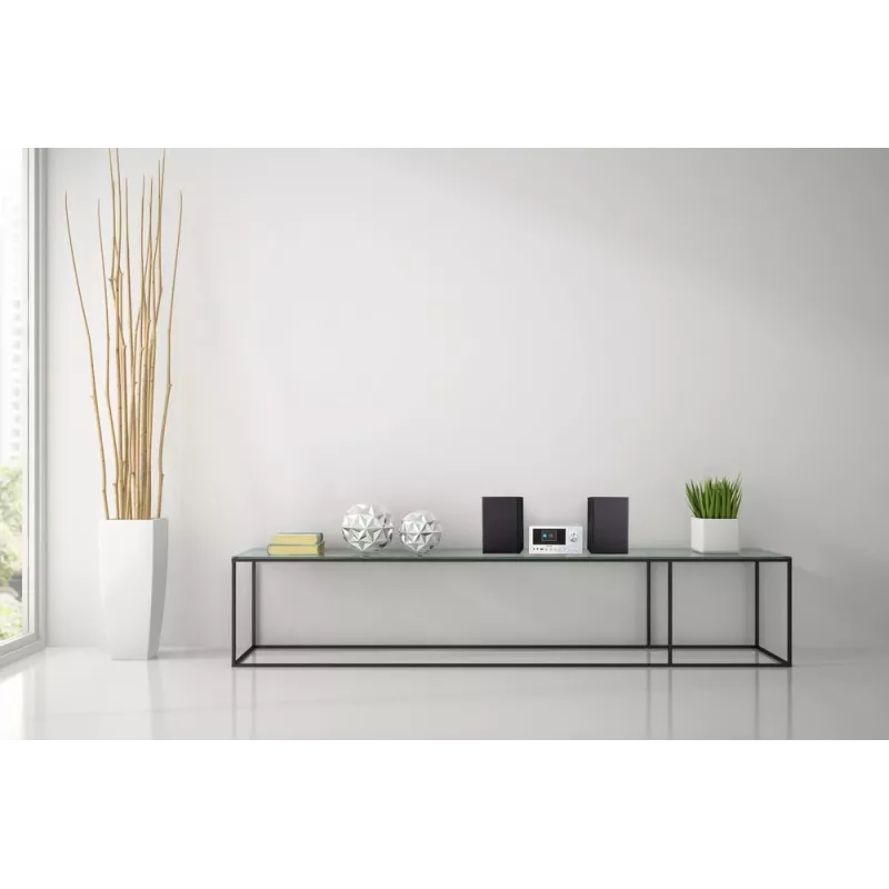 MEDION LIFE P85003 domáci audio mikrosystém 30 W čierna, strieborná