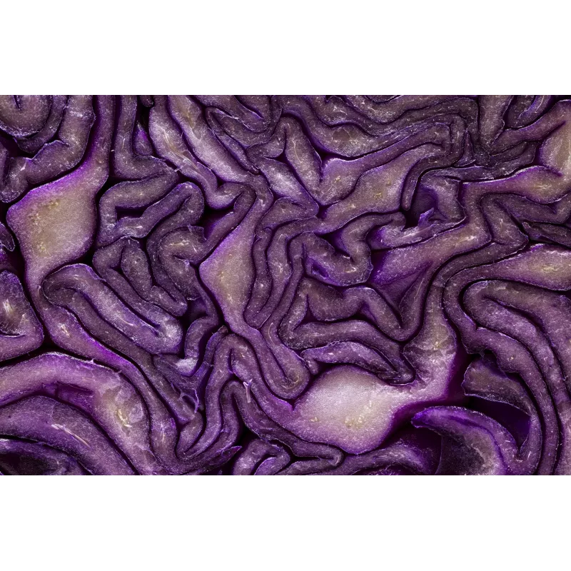 Makro objektív Canon RF 85mm F2 Macro IS STM čierny