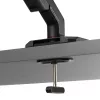 ASUS AAS01R 124,5 cm (49
