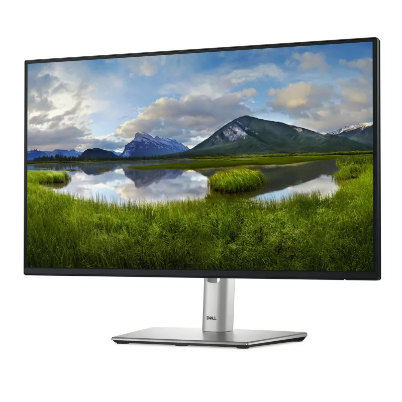 DELL Pro Plus P2425H Počítačový monitor 60,5 cm (23,8