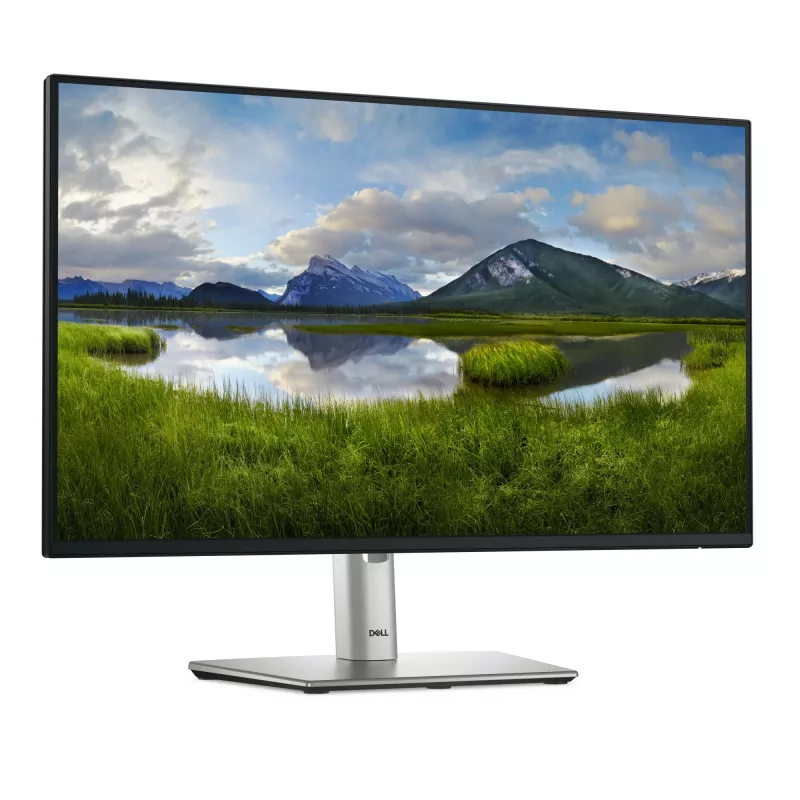 DELL Pro Plus P2425H Počítačový monitor 60,5 cm (23,8