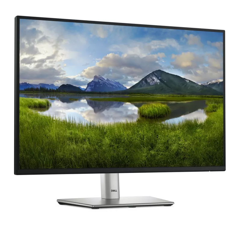 DELL Pro Plus P2425 Počítačový monitor 61,1 cm (24,1 inch) 1920 x 1200 pixelov WUXGA LCD čierny
