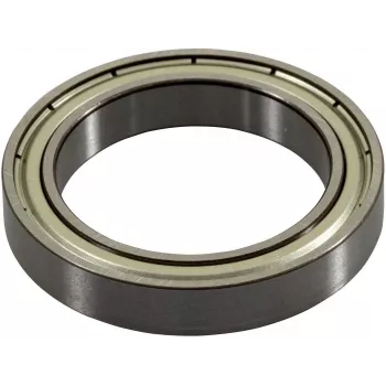 Ricoh G0524618 náhradný diel/príslušenstvo pre tlačiareň/skener ložisko 1 ks