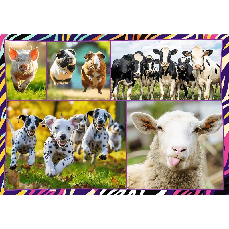 Puzzle TREFL Funny — 4 x 250 dielov, tematická sada pre deti