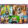 Puzzle TREFL Funny — 4 x 250 dielov, tematická sada pre deti
