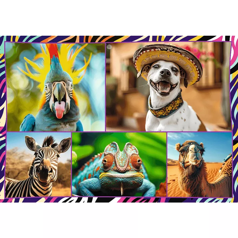 Puzzle TREFL Funny — 4 x 250 dielov, tematická sada pre deti