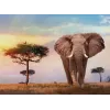 Clementoni African Sunset Puzzle 500 dielikov zvieratá