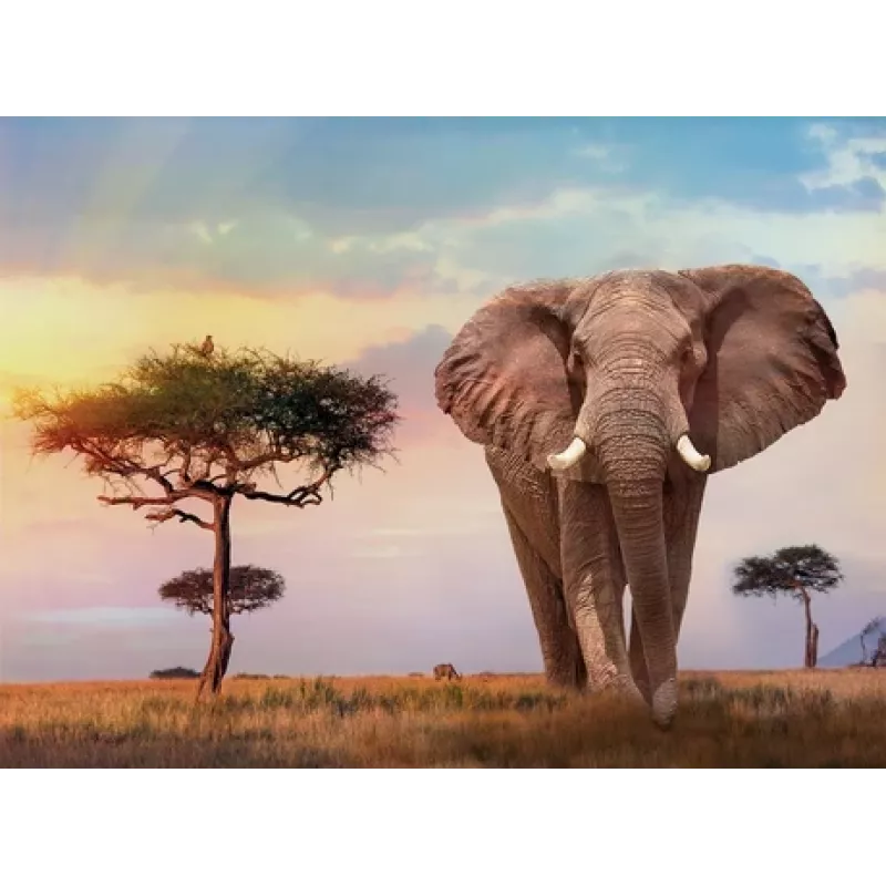 Clementoni African Sunset Puzzle 500 dielikov zvieratá