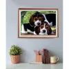 Clementoni High Quality Collection Close Together Puzzle 500 ks zvieratá