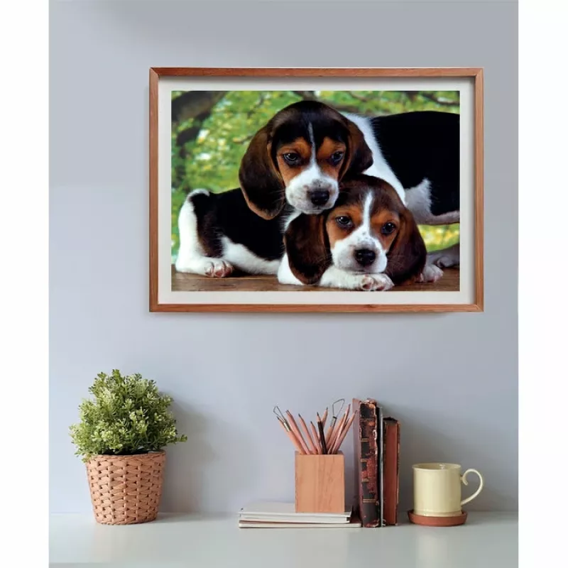 Clementoni High Quality Collection Close Together Puzzle 500 ks zvieratá