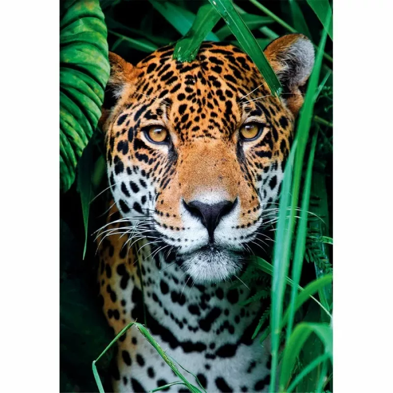 Clementoni High Quality Collection Jaguar im Dschungel Puzzle 500 dielikov zvieratá