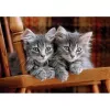 Clementoni High Quality Collection 35580 Puzzle 500 dielov zvieratá