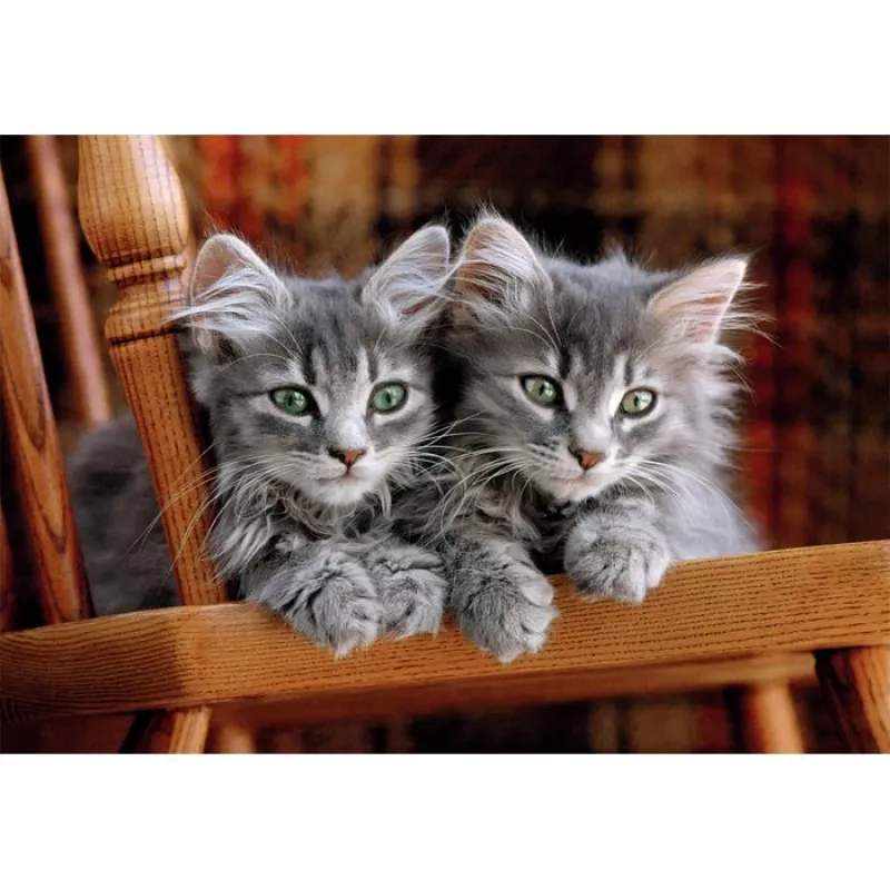 Clementoni High Quality Collection 35580 Puzzle 500 dielov zvieratá