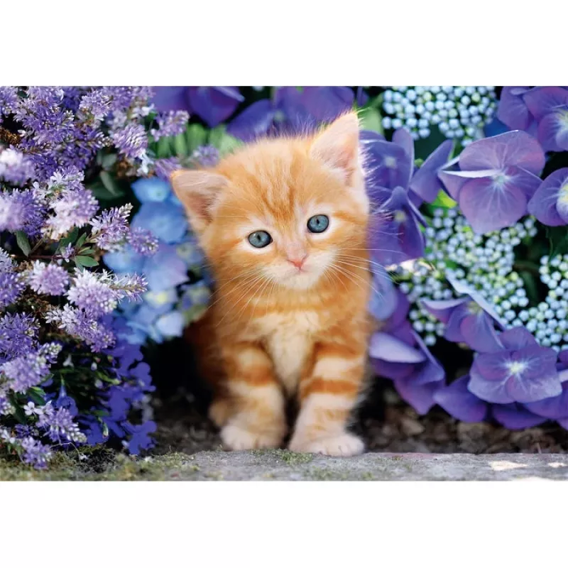 Clementoni High Quality Collection 35585 Puzzle 500 dielov zvieratá