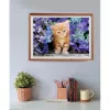 Clementoni High Quality Collection 35585 Puzzle 500 dielov zvieratá