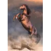 Clementoni 500 dielov CB HQC Wild Red Stallion
