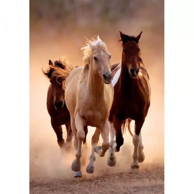Clementoni Running Horses Puzzle 1000 dielov zvieratá