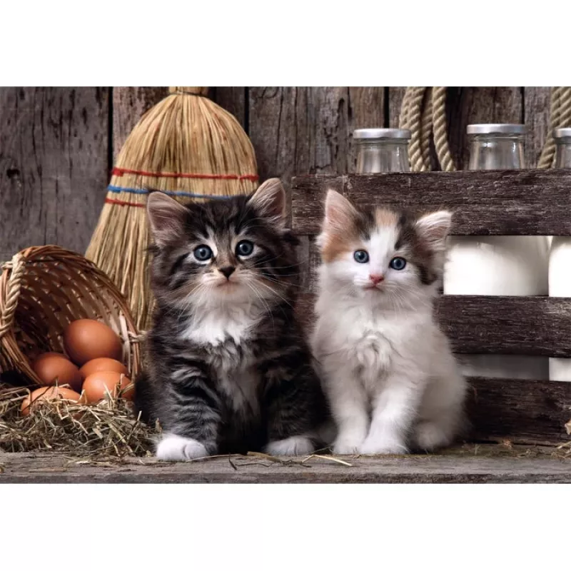 Clementoni High Quality Collection 39943 Puzzle 1000 dielov zvieratá
