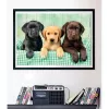 Clementoni High Quality Collection 39946 Puzzle 1000 ks zvieratá