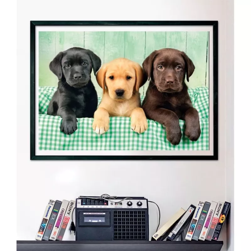 Clementoni High Quality Collection 39946 Puzzle 1000 ks zvieratá