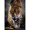Clementoni High Quality Collection 39947 Puzzle 1000 dielov zvieratá