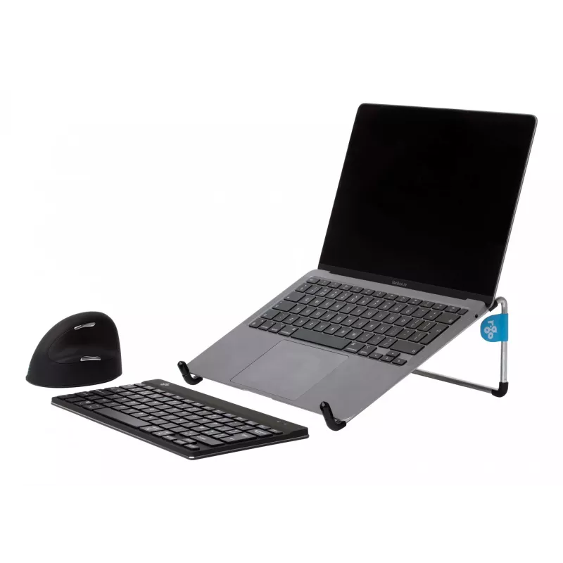 R-Go Tools R-Go Steel Basic stojan na notebook, strieborný, strieborný, oceľ, 25,4 cm (10 palcov), 55,9 cm (22 palcov), 5 kg, 0 - 110 mm