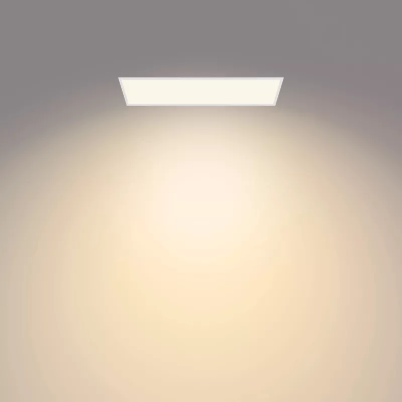 Philips Functional Panel stropné svietidlo 36 W obdĺžnikové
