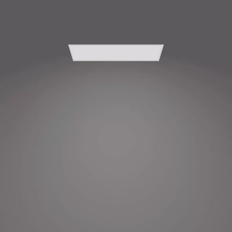 Stropné svietidlo Philips Functional Panel 36 W LED obdĺžnikové 300×1200×42 mm, biela