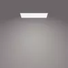 Stropné svietidlo Philips Functional Panel 36 W LED obdĺžnikové 300×1200×42 mm, biela
