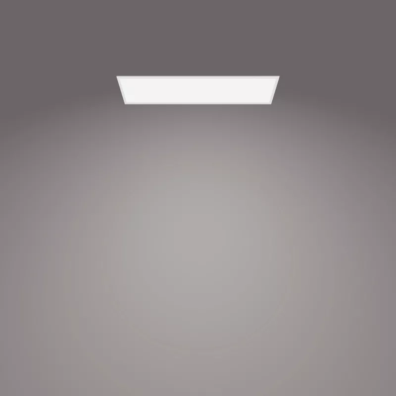 Stropné svietidlo Philips Functional Panel 36 W LED obdĺžnikové 300×1200×42 mm, biela