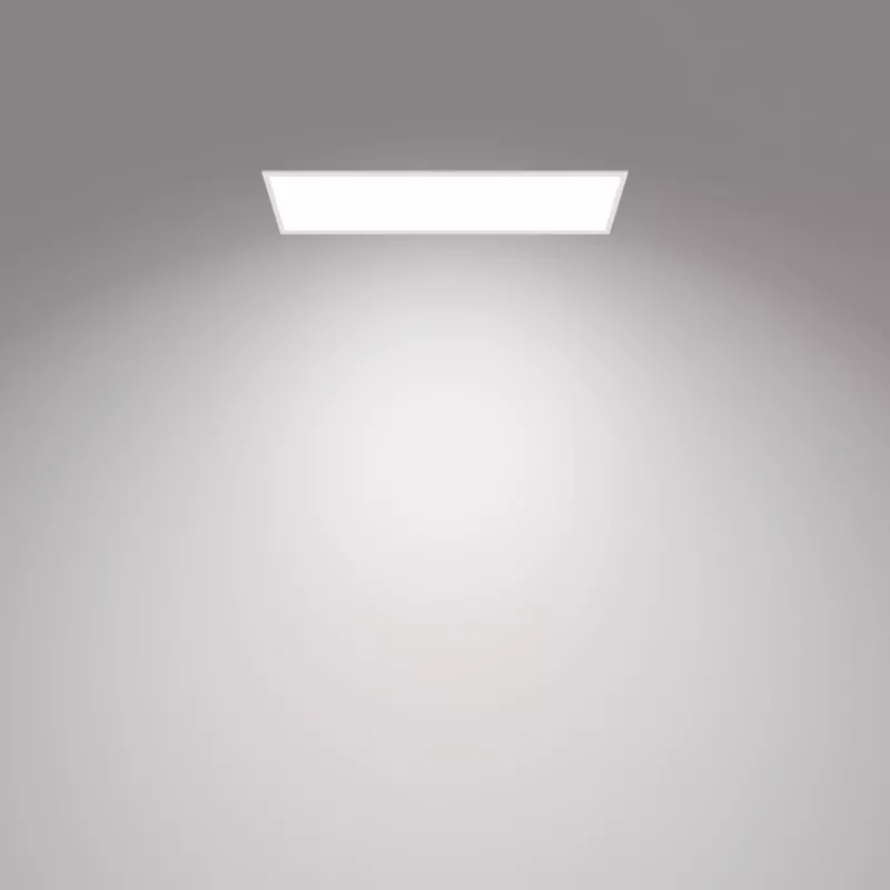 Stropné svietidlo Philips Functional Panel 36 W LED obdĺžnikové 300×1200×42 mm, biela